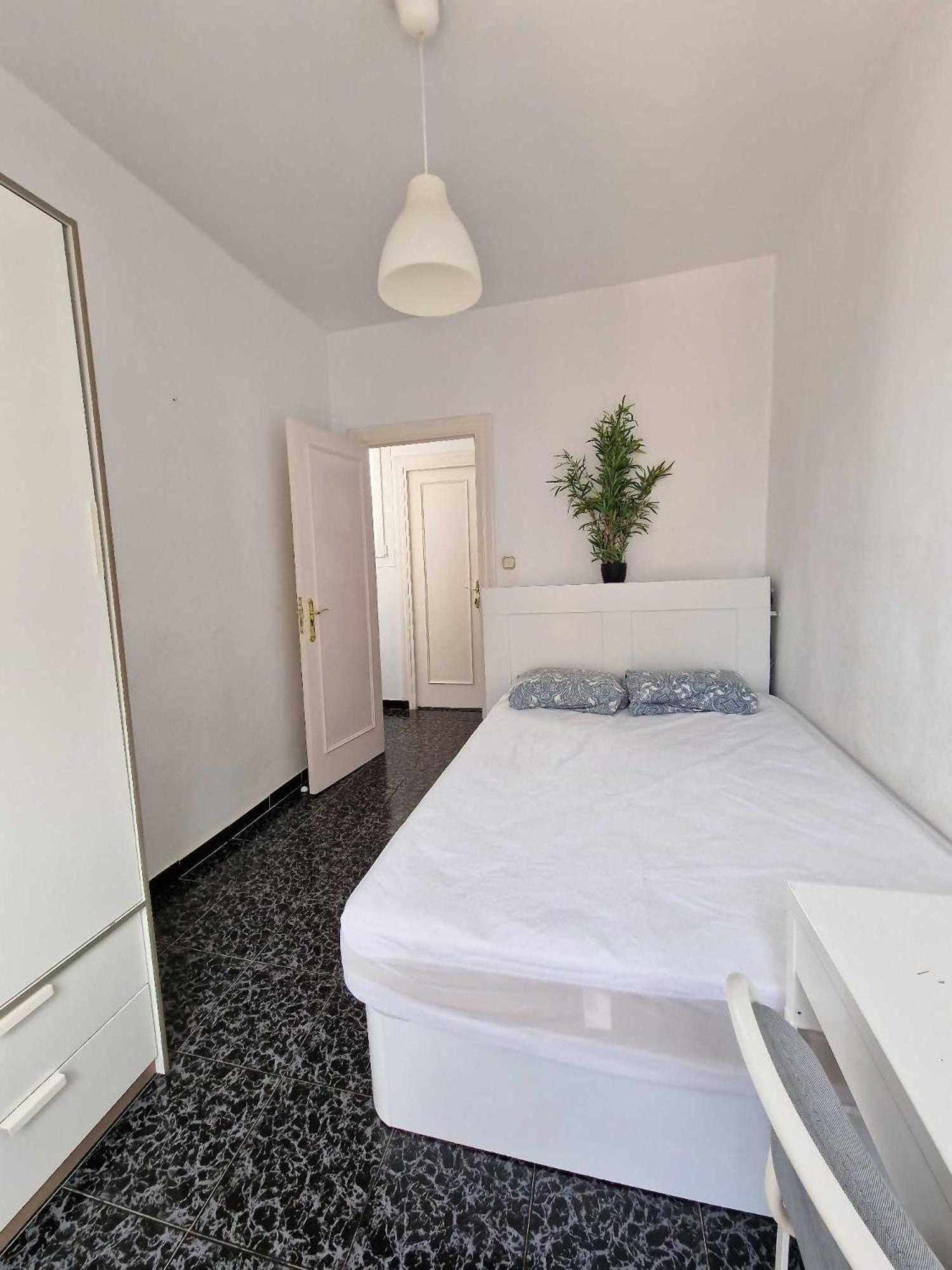 Casco Historico Appartement